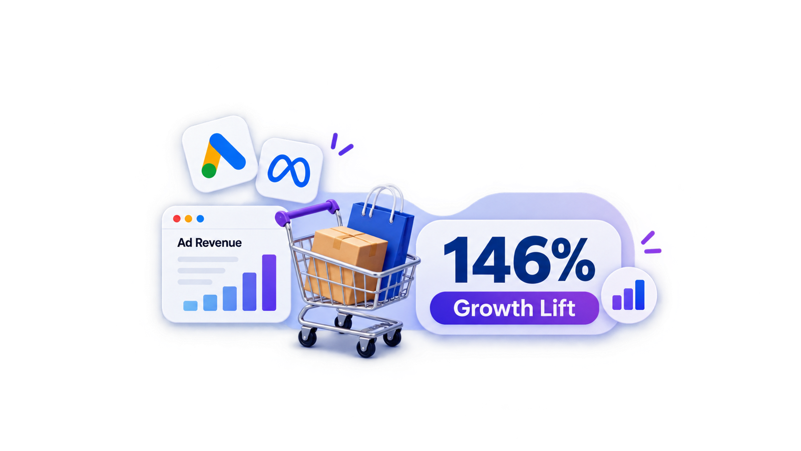 Ecommerce Store Scaled Paid Campaign Revenue